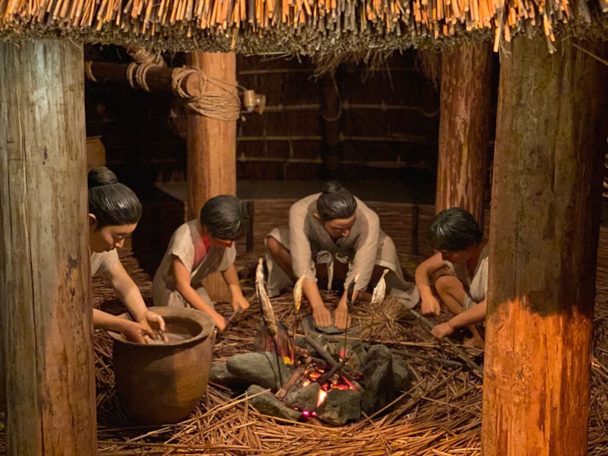 弥生時代の暮らし


私は完全に弥生系の系統だなぁ