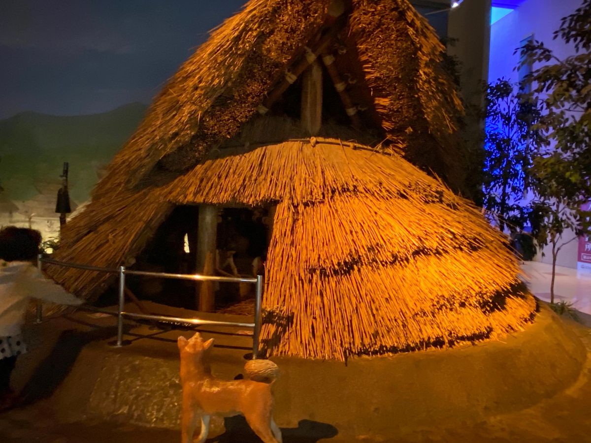 弥生時代の暮らし


私は完全に弥生系の系統だなぁ