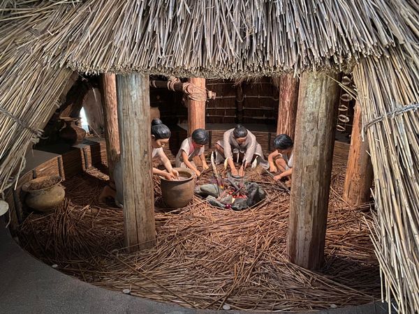 日本・福岡県「初めての🦕いのちのたび博物館🦖」の写真：弥生時代の暮らし


私は完全に弥生系の...