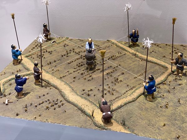 日本・福岡県「初めての🦕いのちのたび博物館🦖」の写真：検地の様子

ジオラマも大好物💕