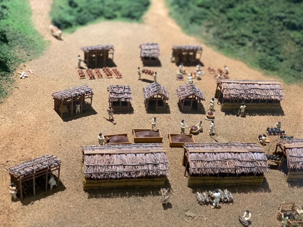 天観寺山窯跡群

ずっと見てられる