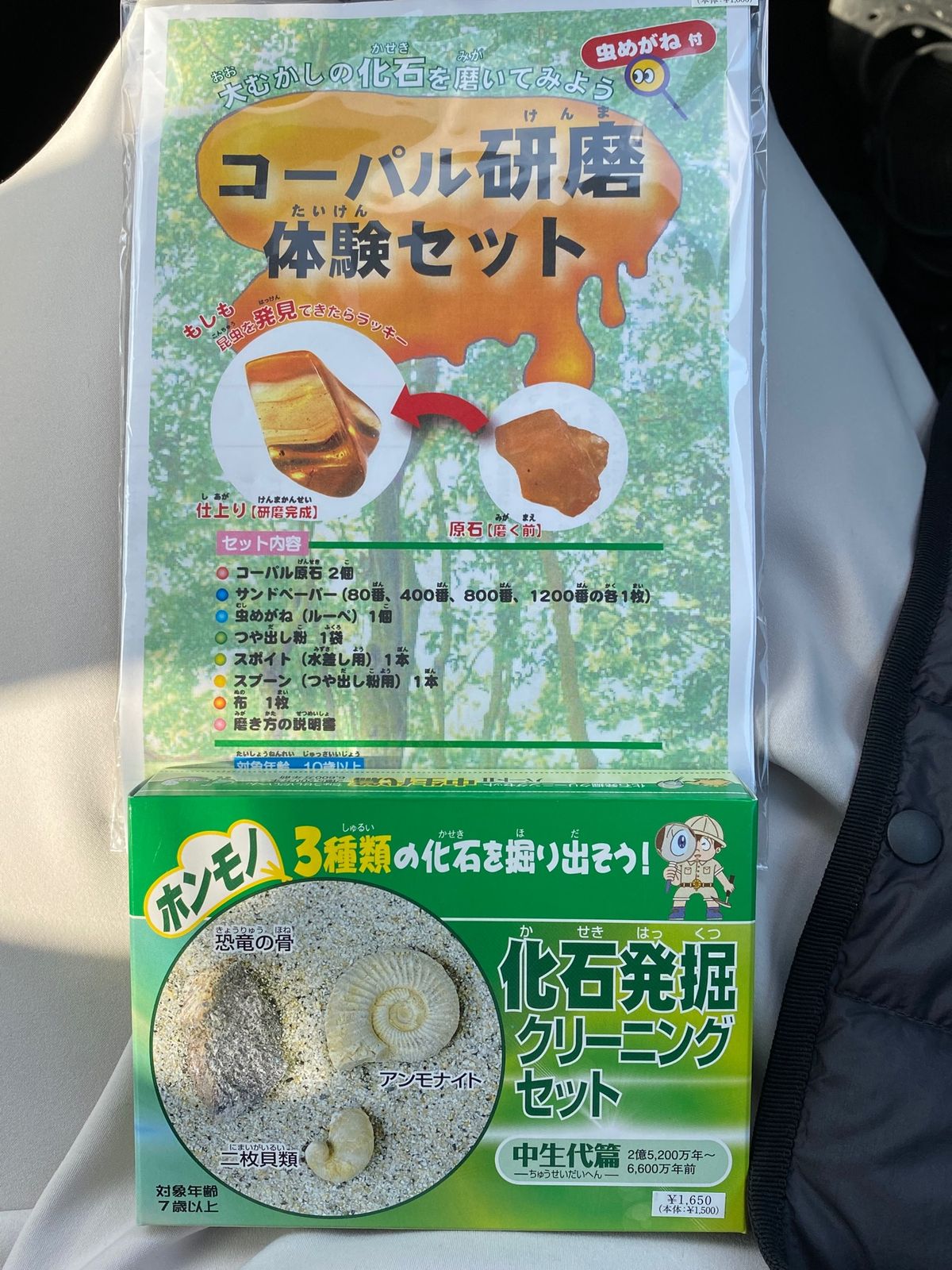 お土産で化石発掘体験セットを買ったけど
なんだか勿体無くてまだできてない😂