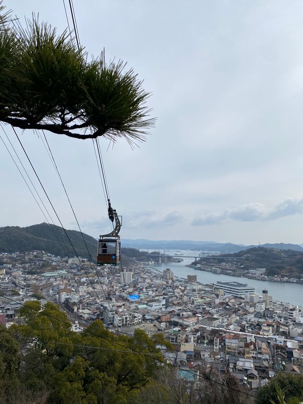 日本・宮島「広島・尾道　2022.02」の写真