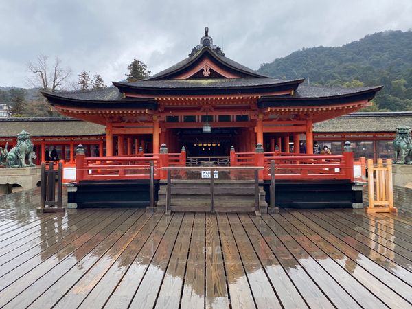 日本・宮島「広島・尾道　2022.02」の写真