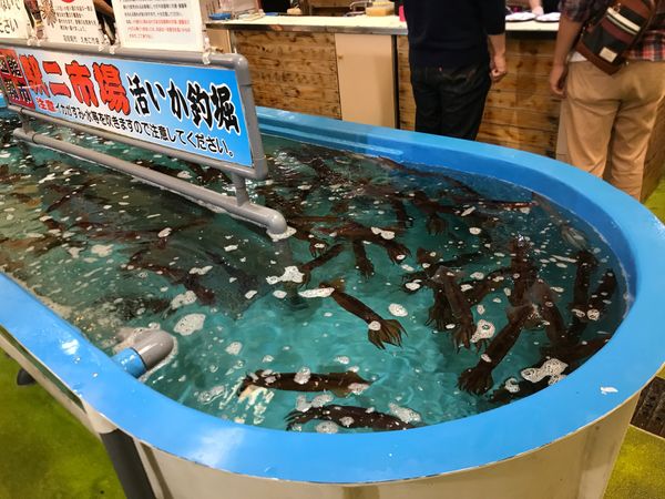 日本・北海道「何をとってもサイコーの街…函館」の写真