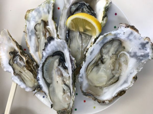 日本・三重県「三重ひとり旅」の写真