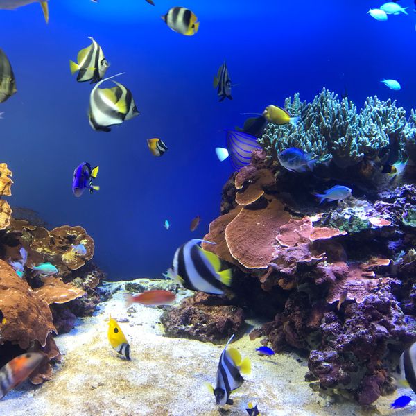 日本・三重県「三重ひとり旅」の写真