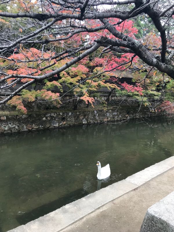 日本・岡山県「岡山　日帰り旅」の写真