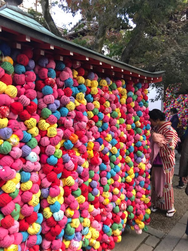 日本・京都府「京都ひとり旅」の写真