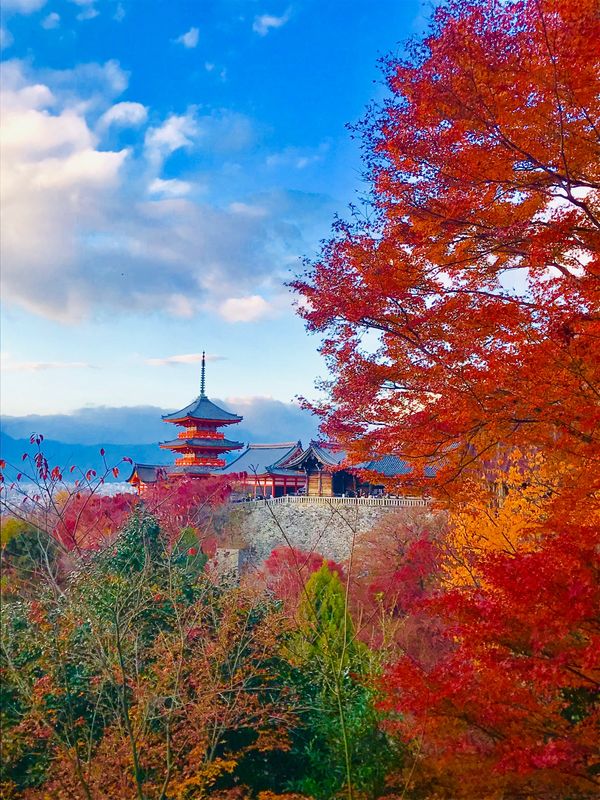 日本・京都府「京都ひとり旅」の写真