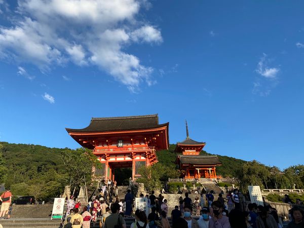 日本・京都府「京都女子旅」の写真