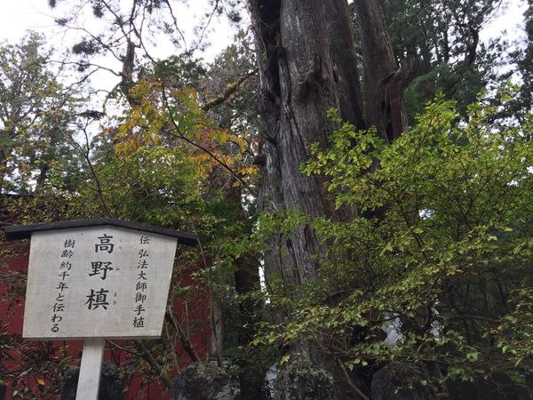 日本・栃木県「日光」の写真