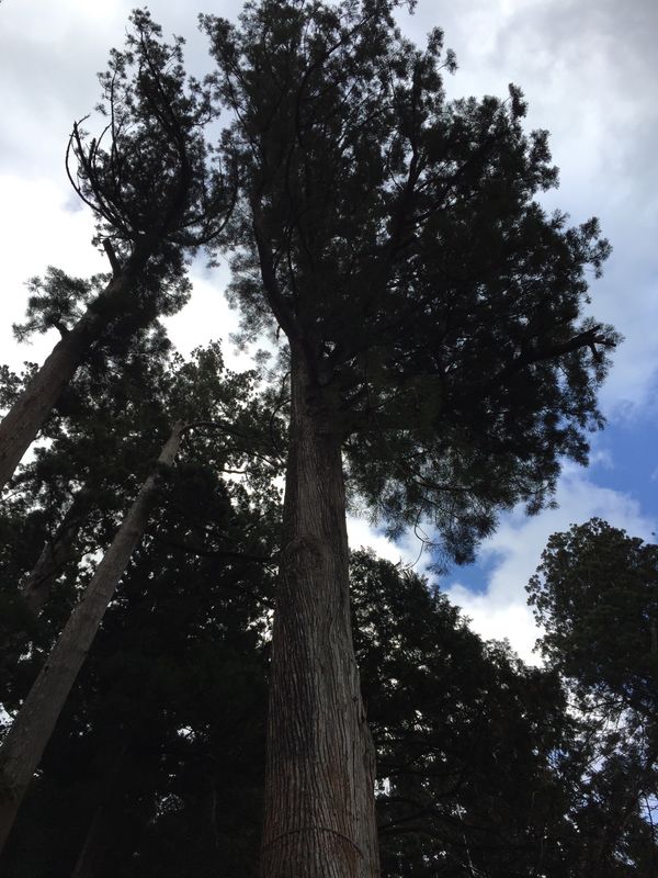 日本・栃木県「日光」の写真