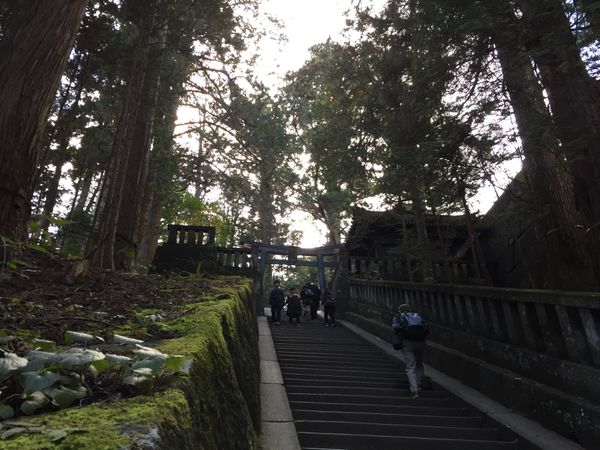 日本・栃木県「日光」の写真