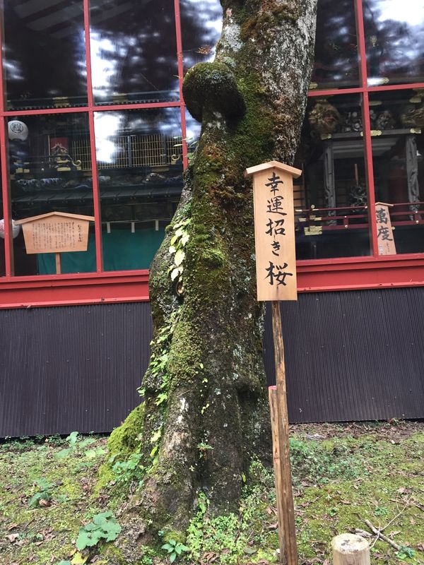 日本・栃木県「日光」の写真