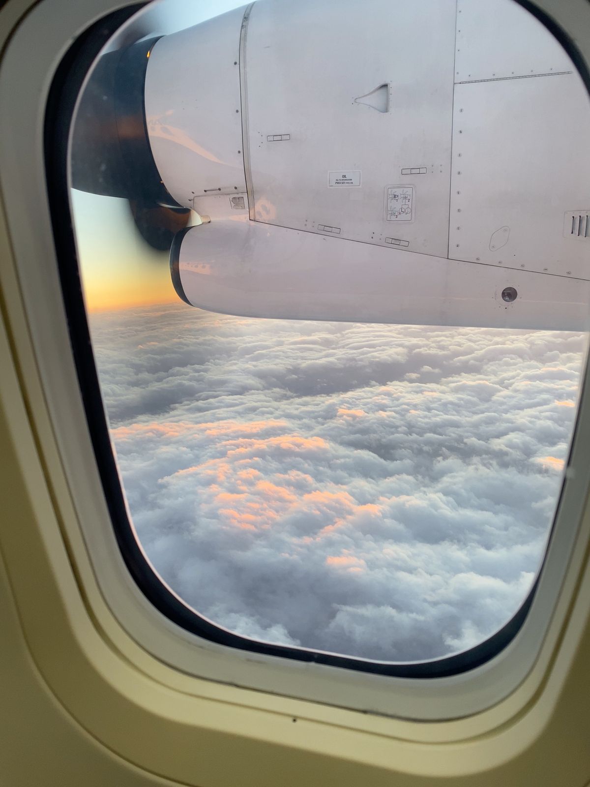雲と太陽の光が凄く綺麗だったのだけど
写真に撮るとなんか違うんだよなぁ