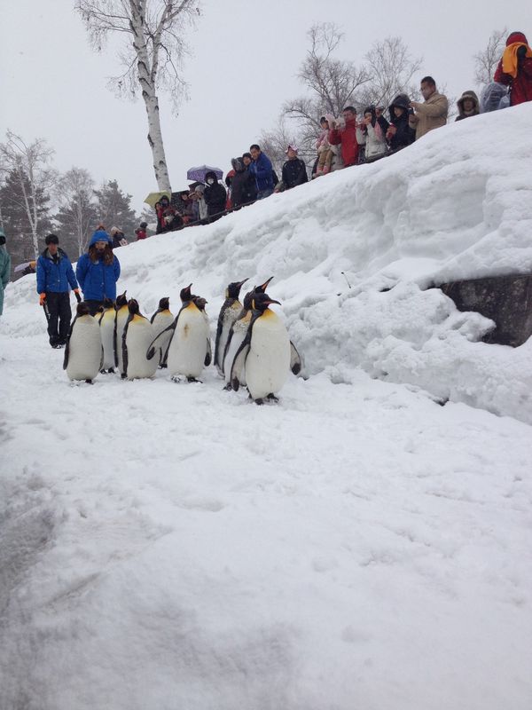 日本・北海道「北海道」の写真