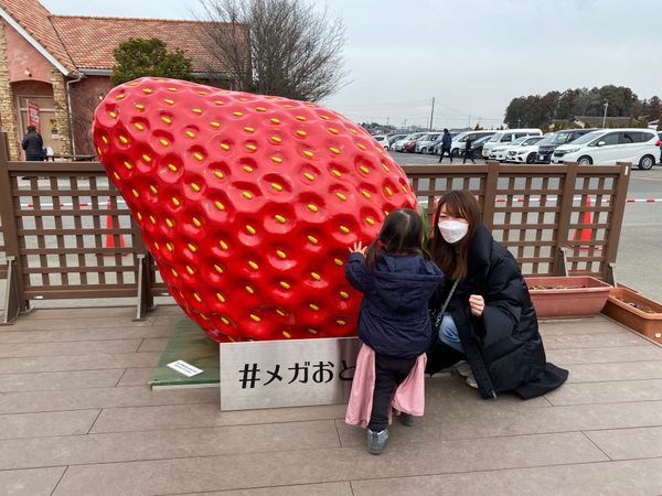 日本・栃木県「小山いちご狩り」の写真