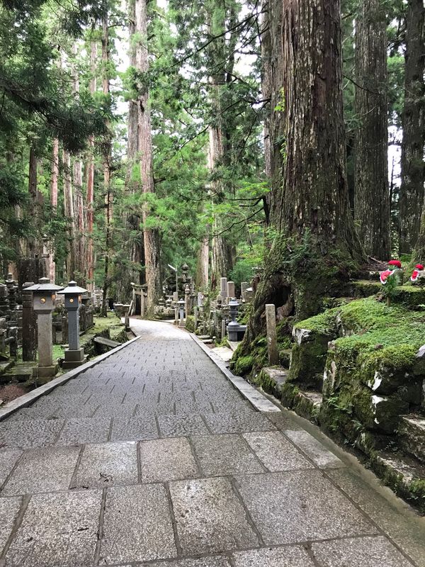 日本・和歌山県「高野山・大阪の旅(2日目)」の写真