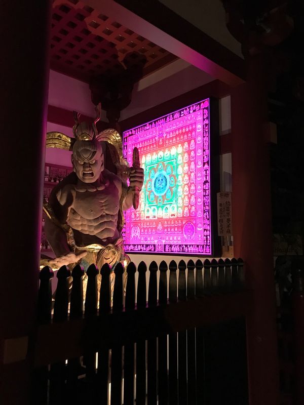 日本・和歌山県「高野山・大阪の旅(2日目)」の写真