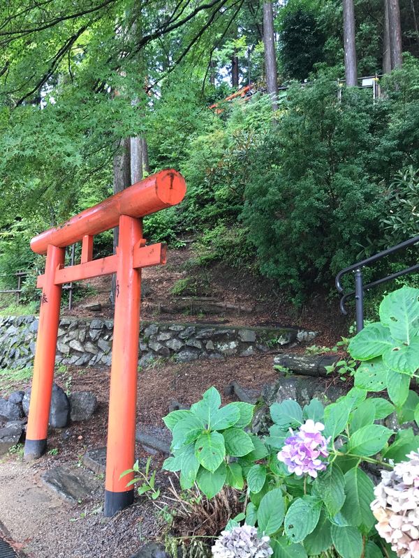 日本・和歌山県「高野山・大阪の旅(2日目)」の写真