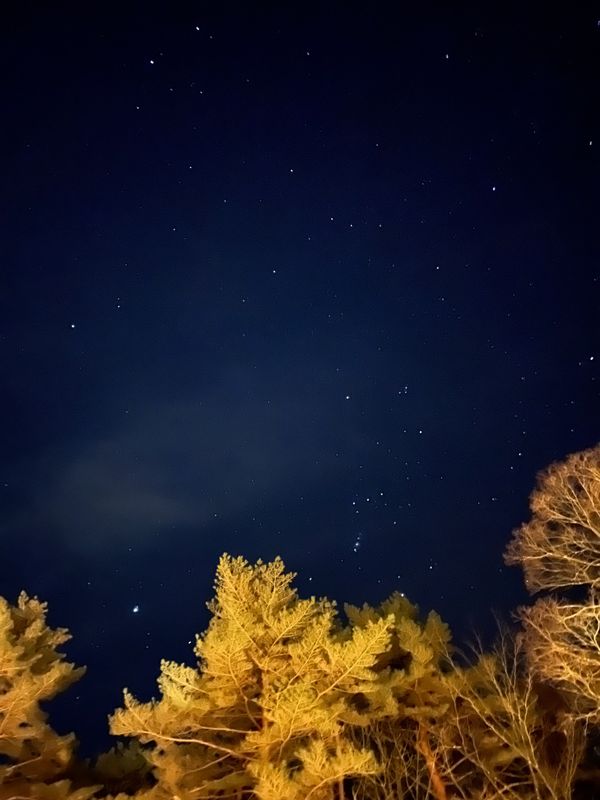 日本・山梨県「yl&Co.Hotel in Mt.Fuji」の写真：深夜に起きタイムラプス撮影