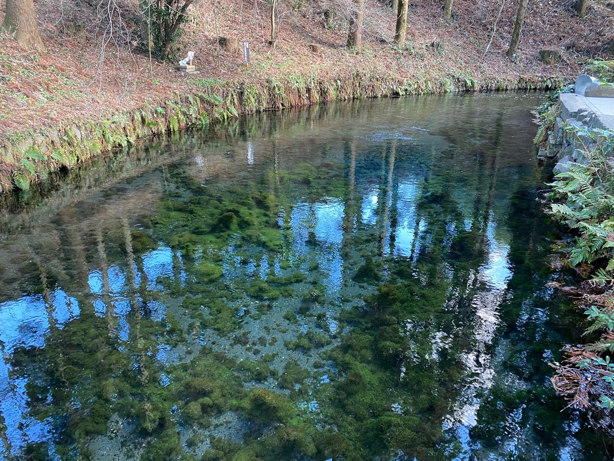 白川水源！
水綺麗！