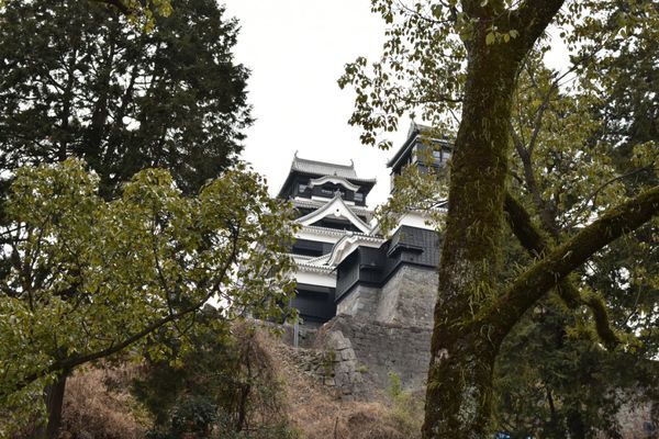 日本・大分県「弾丸熊本旅！大分と宮崎にもちょっと！」の写真：熊本城は遠くから