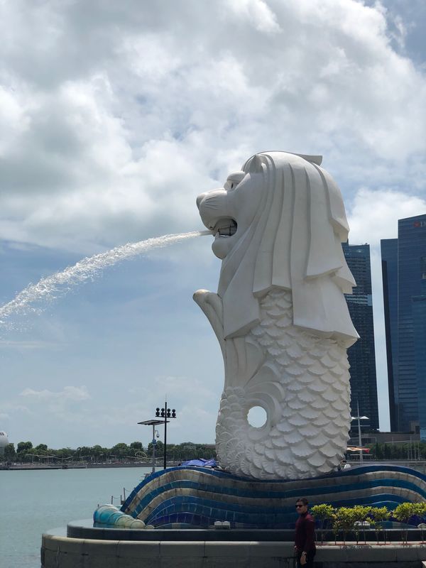 シンガポール「シンガポール」の写真：コロナ禍前の最後の海外旅行
ホテルや観光...