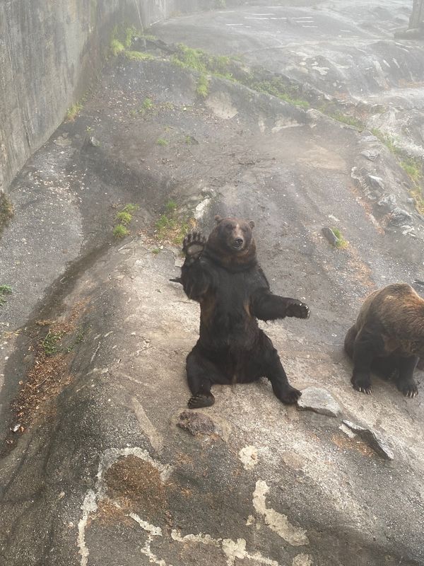 日本・北海道「北海道旅行」の写真