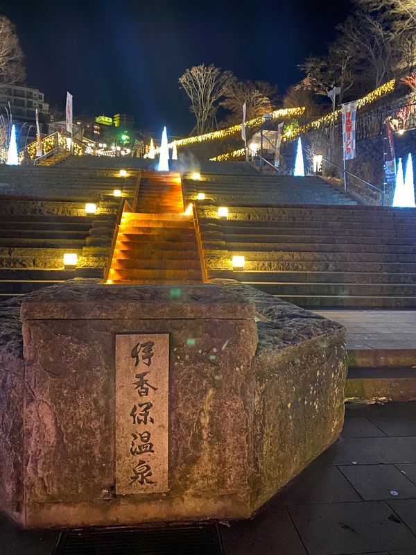 日本・群馬県「伊香保温泉」の写真：寄り道で群馬サファリパーク🦁