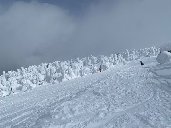 日本・山形県「蔵王温泉スキー場」の写真