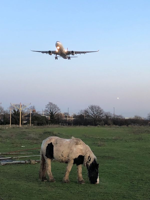 イギリス(英国)・ロンドン「ロンドンヒースロー空港撮影旅行」の写真