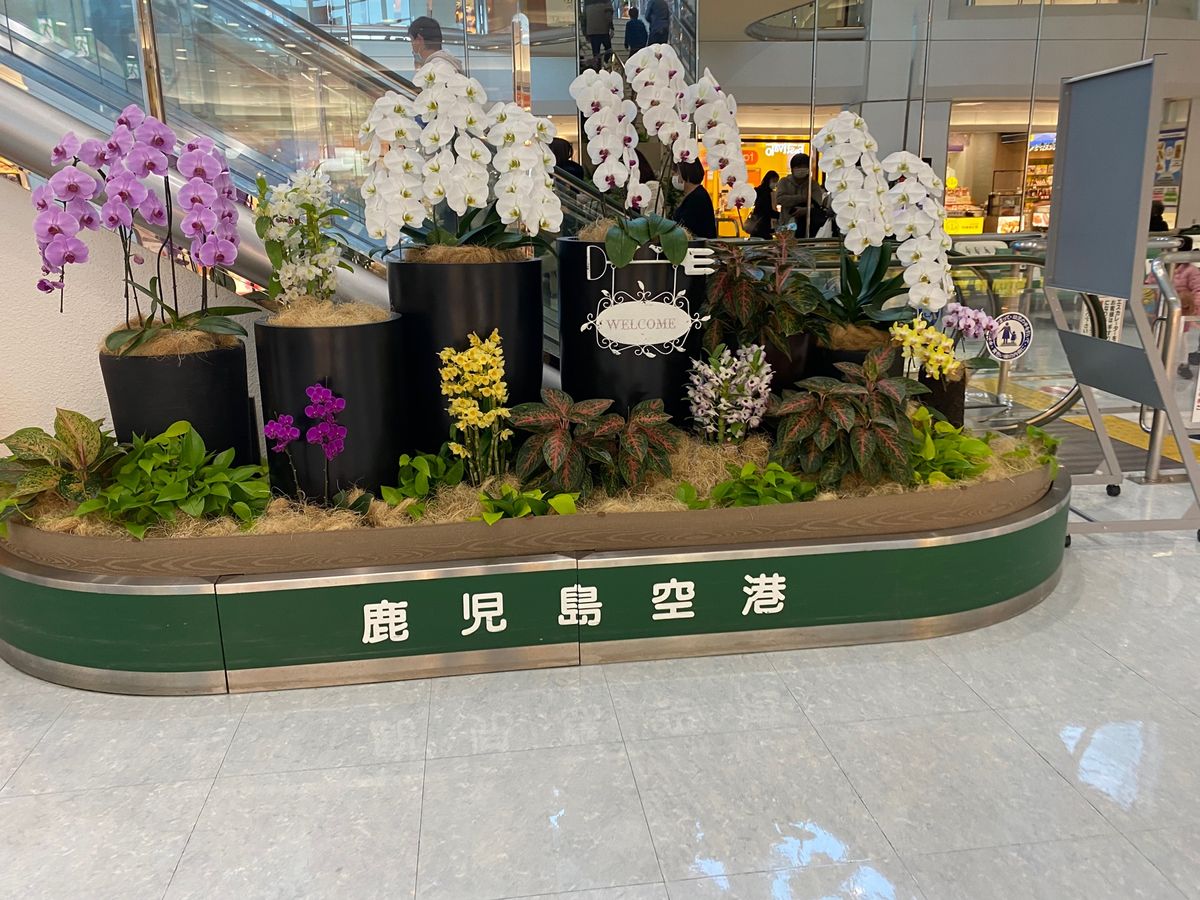 鹿児島空港！
足湯があるのね