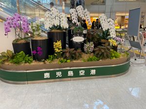 鹿児島空港！
足湯があるのね