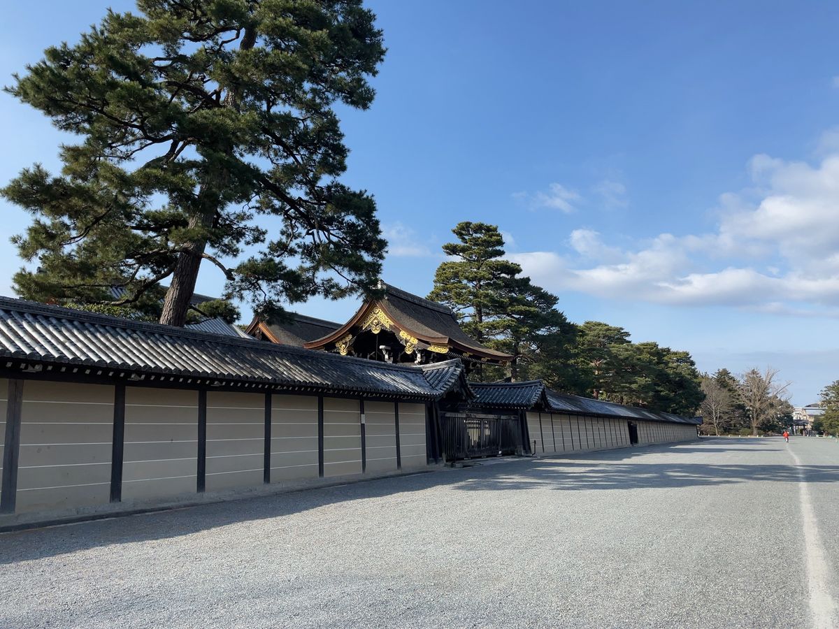 京都御苑でバードウォッチングと梅の花見
