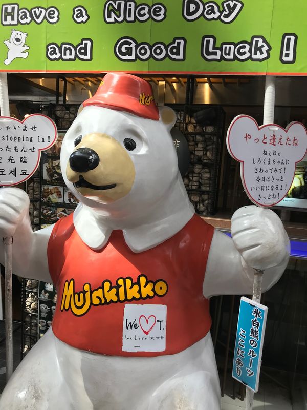 日本・鹿児島県「久しぶりの開聞岳/ 鹿児島」の写真