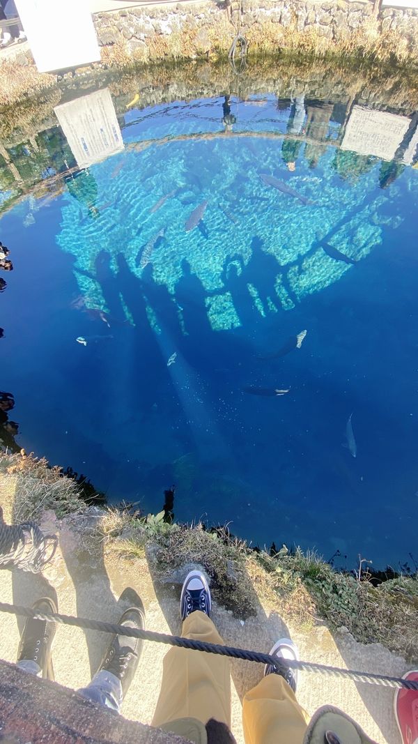 日本・山梨県「忍野八海Daytrip」の写真：忍野八海