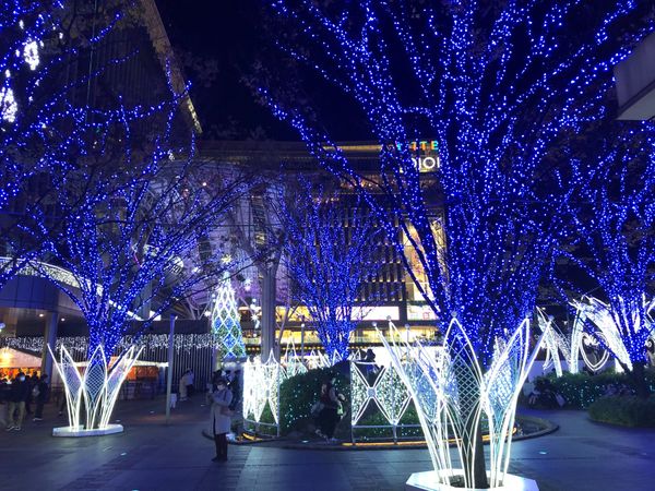 日本・福岡県「太宰府天満宮ふたたび」の写真