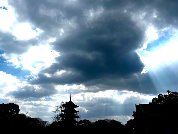 日本・京都府「成願の旅　京都東寺」の写真