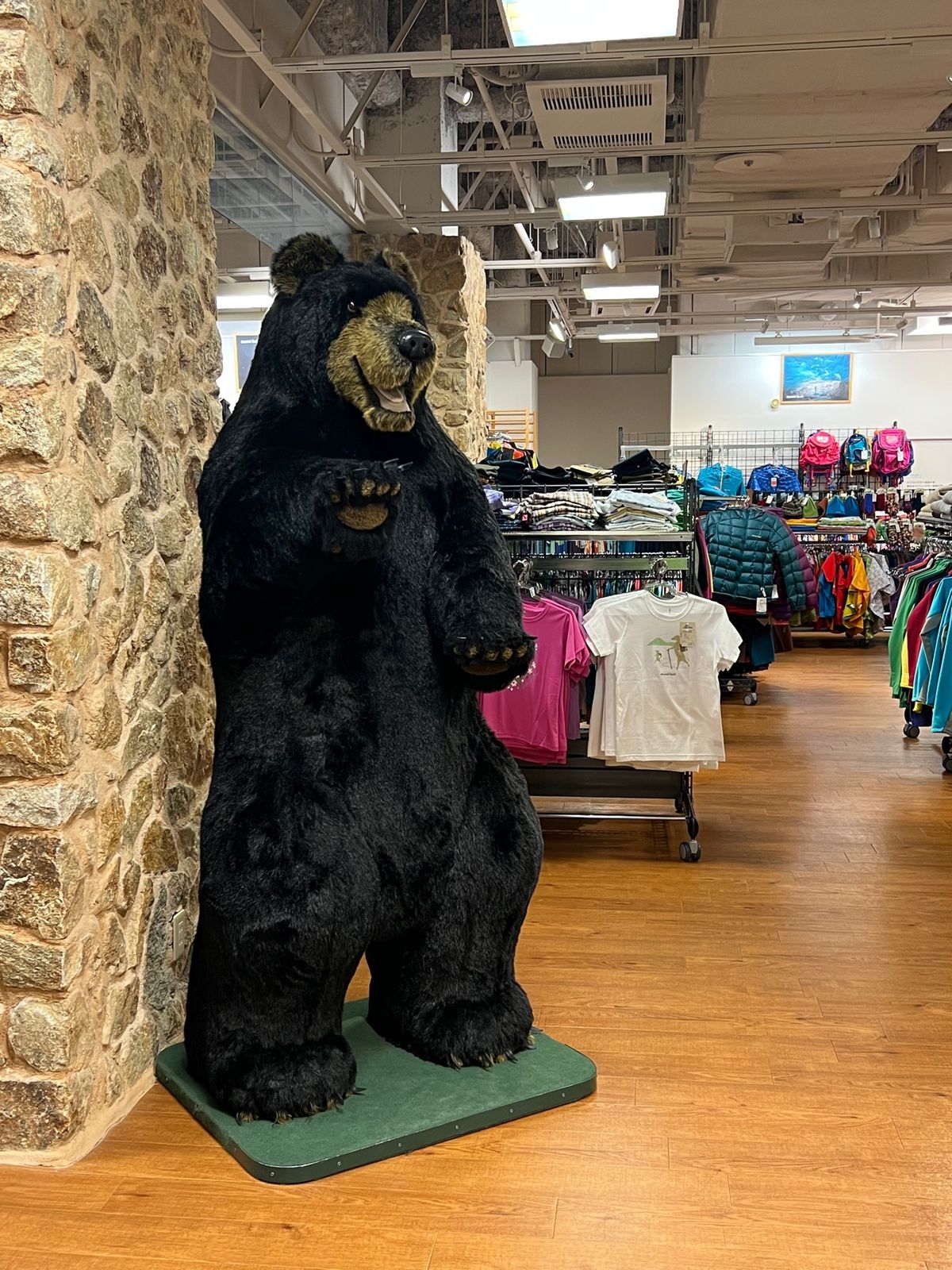 モンベル 金沢店

ちょうど隣にモンベルがあって
屋久島に行く前だったので...