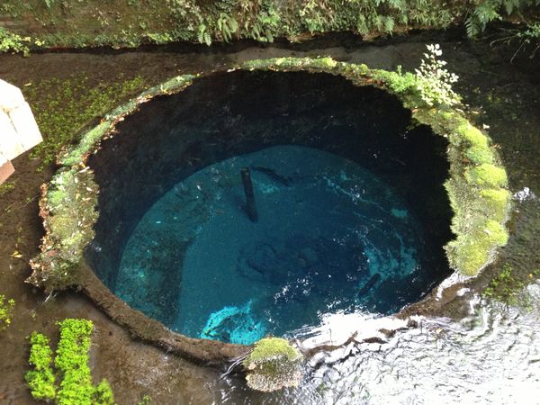日本・静岡県「柿田川公園」の写真