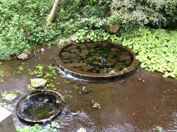 日本・静岡県「柿田川公園」の写真