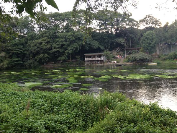 日本・静岡県「柿田川公園」の写真