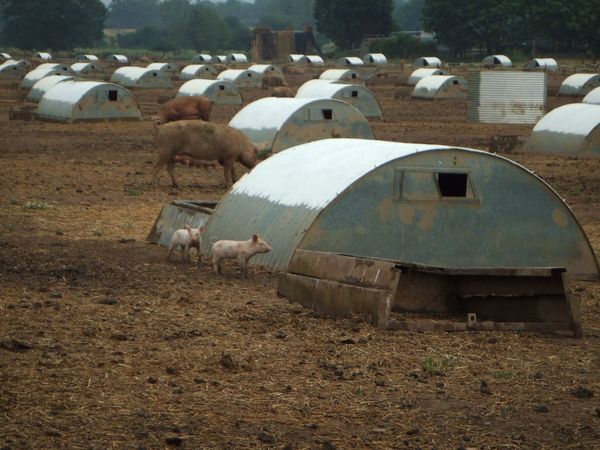 イギリス(英国)「Pulborough, West Sussex, England, UK」の写真
