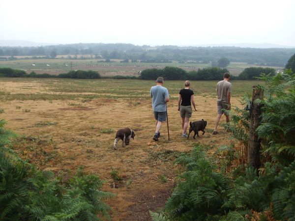 イギリス(英国)「Pulborough, West Sussex, England, UK」の写真