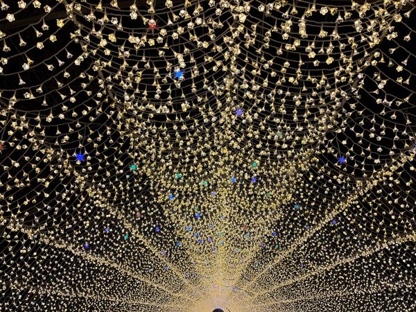 日本・三重県「三重県なばなの里」の写真