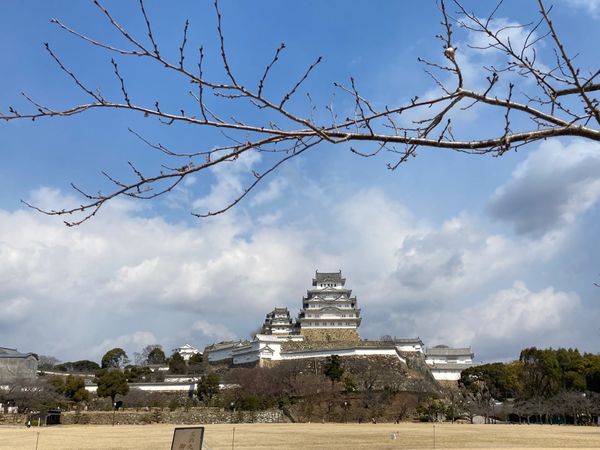 日本・兵庫県「兵庫旅✈︎」の写真