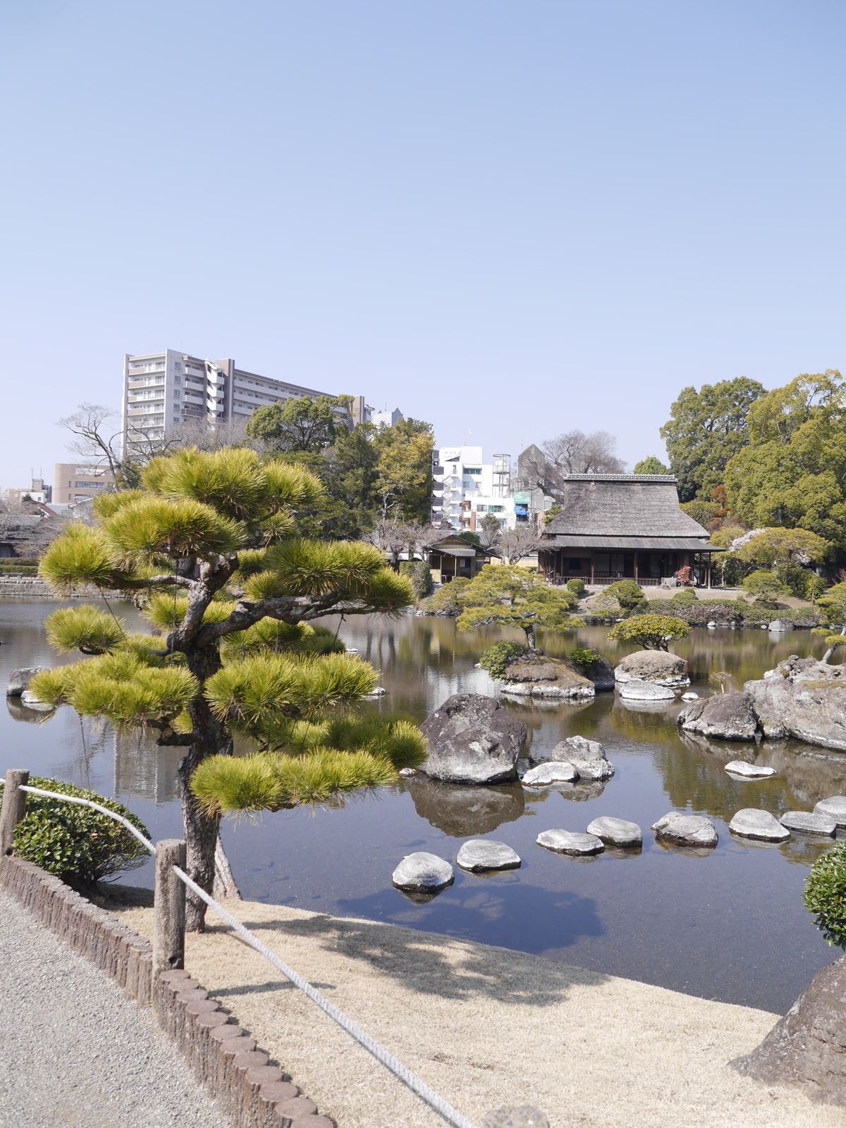 もう少ししたら桜が綺麗に見えるんだろうな。
今は梅。
桜肉も赤牛も辛子蓮根...