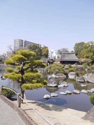 もう少ししたら桜が綺麗に見えるんだろうな。
今は梅。
桜肉も赤牛も辛子蓮根...